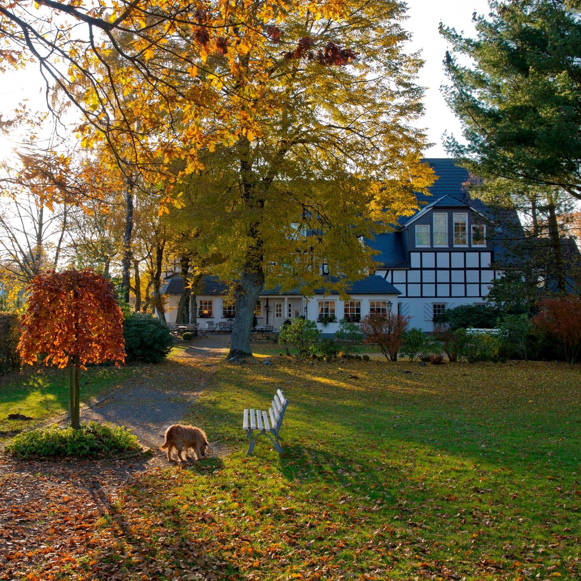 Hotel Waldhaus Foeckinghausen بيستفيغ المظهر الخارجي الصورة